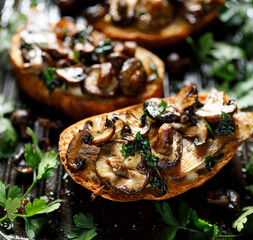 Grilled sandwiches  with various types of mushrooms and parsley,  close up view
