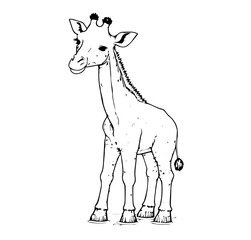 Giraffe in cartoon black and white style for coloring. Vector illustration