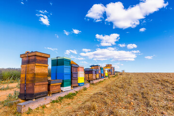 Scenic view of colored bee hives near lavender field in Provence south of France against dramatic...