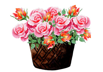Basket Of Roses. Watercolor Illustration. Ideal for Wedding Projects