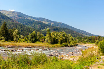 Fototapeta na wymiar mountain creek in a typical trentino valley