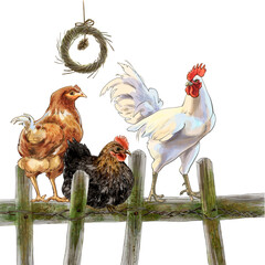 Color illustration Farm with chickens. High quality illustration