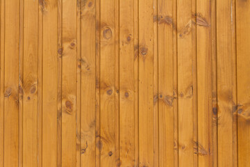 Pine wood wall background. textures
