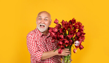 amazed mature retired man with beard hold spring tulip flowers on yellow background