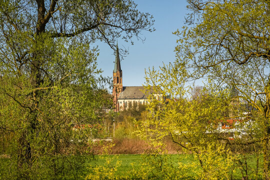 A view through trees to the catholic church in Fröndenberg