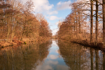 Fototapeta na wymiar A view along a river floodplain lined with trees in autumn mood