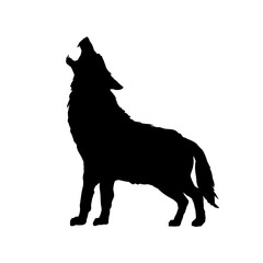 wolf silhouette, howling wolf - vector illustration - obrazy, fototapety, plakaty