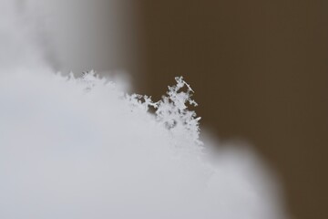 Snowflake on Blurry Background