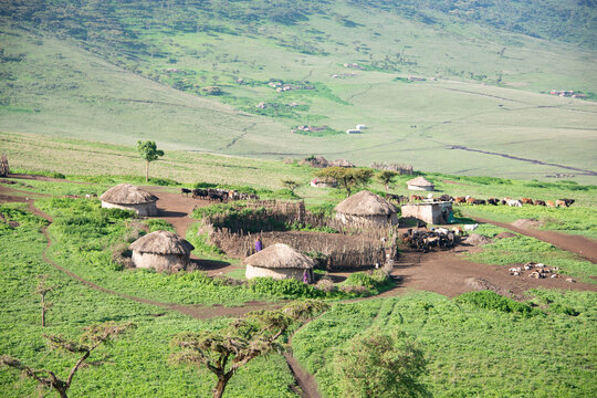 Maasai village with mud thatch huts called manyattas in Ngorongoro, Tanzania, Africa