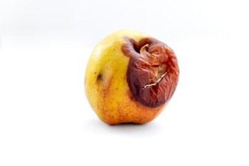 A rotten apple isolated in white background. Rotten apple concept. Decay in nature.