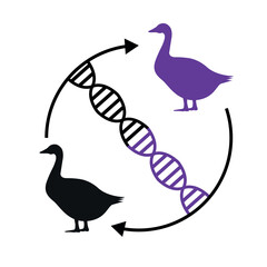 animal cloning Biochemistry symbol, Biological processes sign, biology and engineering drawing, Fgenetic manipulations.
