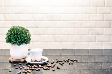 Espresso cup and saucer with dark roasted coffee beans with modern counter and white subway tile reflection in cafe bar kitchen with green plant