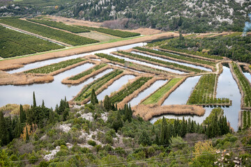 Fototapeta na wymiar Beautiful rural countryside and fruit plantation on Neretva river festuary, famous farming area in southern Croatia