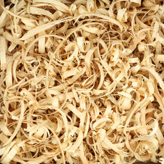 Wood shavings, background. Coarsely grated sawdust. Yellow lumber