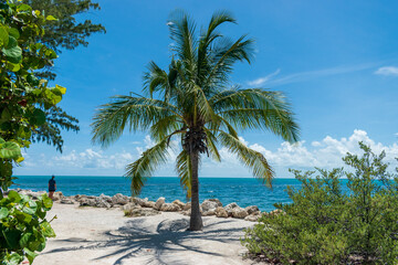 Fototapeta na wymiar Fort Zachry, Florida, Key West