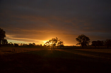 Fototapeta na wymiar Stormy Sunset in Western Australian Bush
