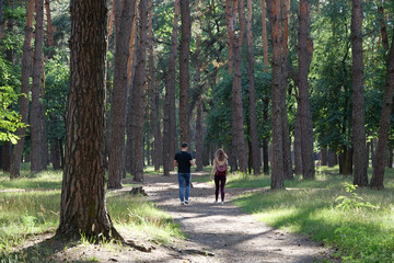 Fototapeta premium Man and woman walk among beautiful coniferous trees in forest