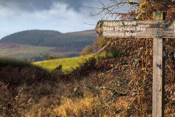 Wooden signpost with directions for the West Highland Way, Scotland - obrazy, fototapety, plakaty