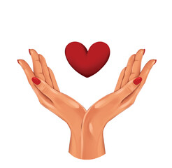 Realistic vector drawing of two hands with a heart, a sign of peace, love and kindness. A supportive hand for those in need. Isolated on a white background.