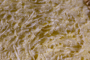 Close up or macro photo of a ginger fruit core or meat. Cut away view of ginger core taken with big macro lens.