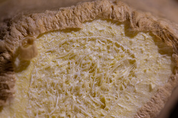 Close up or macro photo of a ginger fruit core or meat and crust. Cut away view of ginger core taken with big macro lens.