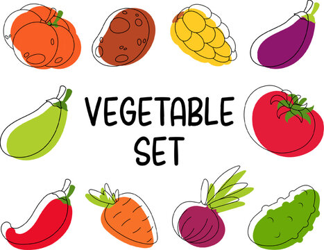 Set of drawing vegetables, outline and paint. Potato, onion, tomato, cucumber, zucchini, eggplant, pumpkin, carrot, pepper, corn
