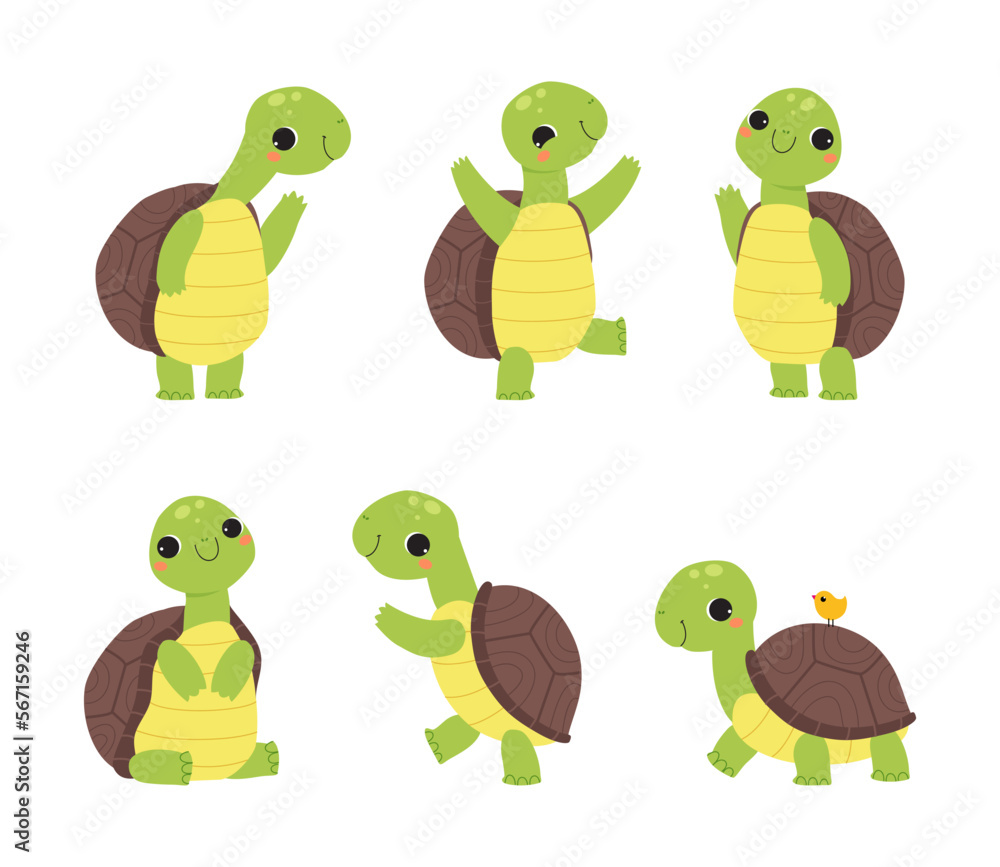 Poster cute turtle with shell and short feet engaged in different activity vector set