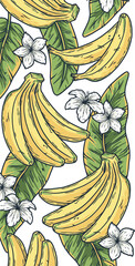 Bananas frame . Summer tropical fruits