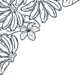 Bananas frame. Summer tropical fruits outline design element