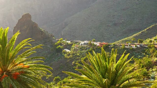 Gorge and Masca village surrounded by green tropical plants and palm trees. Mountain village in Masca canyon. Tenerife, Canary, Spain. Panoramic shot, UHD