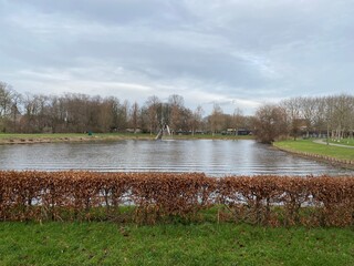 landscape with lake and trees