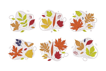 Fototapeta na wymiar Bright Autumn Foliage with Different Leaf Color Vector Set