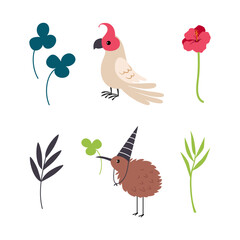 Cute Australian Animal with Kiwi Bird and Parrot Vector Set