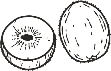 Kiwi fruit or exotic eco element for vegetarian menu. Organic nature ingredient for food market.