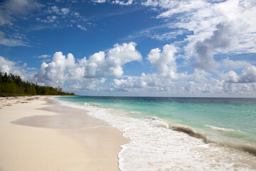 Fototapeta na wymiar Grand Bahama Island Coral Beach