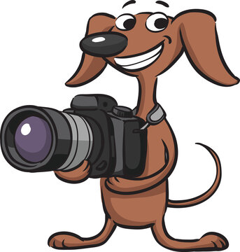 dog photographer - PNG image with transparent background