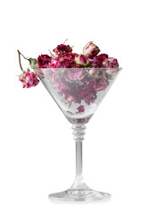 Rose buds in a glass goblet isolated