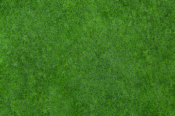 Fototapeta na wymiar Dense carpet of juicy green grass. Perfect lawn, top view. Background of fresh green grass. Easter background concept. Lawn for sports. Copy space. Close up. View from above. Nobody