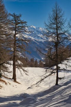 Blick zum Berg
