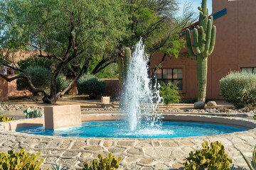 Spewing foutain in an urban or suburban area with cactus and shrubs and trees in background in late afternoon sunlight