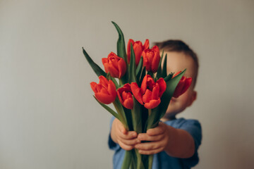  Mothers Day. cute toddler boy with a bouquet of flowers. A bouquet of red tulips in the hands of his son, a little gentleman on a white background.