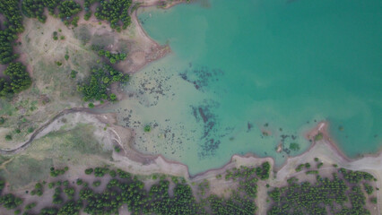 lake and forest view. Trees and blue lake in perfect landscape with drone