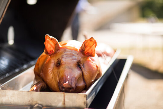Close-up of roasted pork at wedding reception