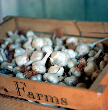 A detailed shot of a box of onions at a local farm.