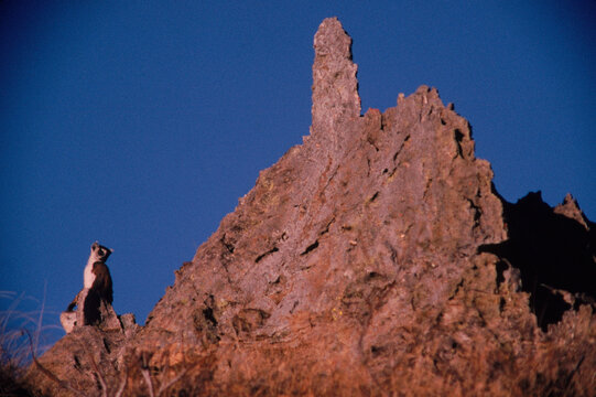 Isalo National Park, Madagascar