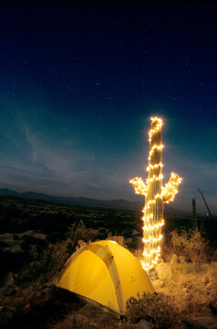 Christmas Lights On A Saguaro Catcus By A Tent At Night, Sonoran Desert, Arizona