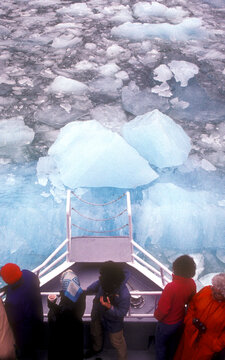 Cruise Ship At Le Conte Glacier, Inside Passage, Alaska.