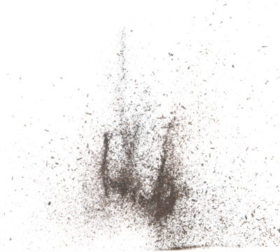 Black dried leave Tea explode. Small Fine size tea leaf flying explosion, Abstract cloud fly. Brown colored Teas splash throwing in Air. White background Isolated high speed shutter, throwing freeze