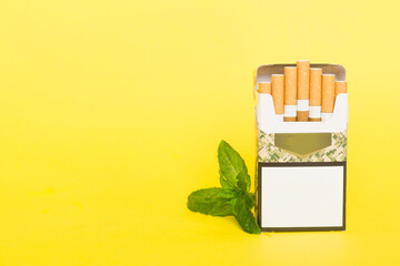 Pack of menthol cigarettes and fresh mint on colored table, Menthol cigarettes top view flat lay