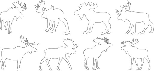 Fototapeta na wymiar Simple horned deer illustration vector sketch